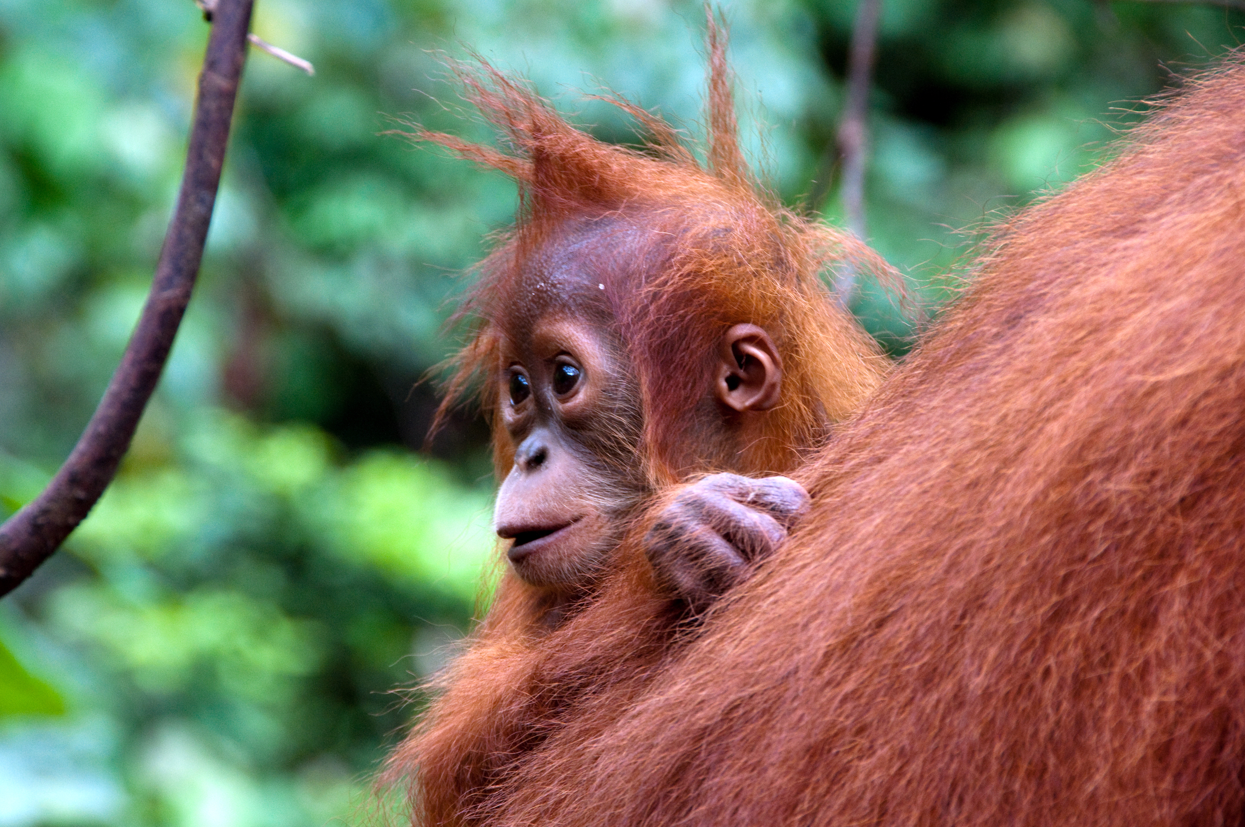 This Creature is waiting for your Visit!