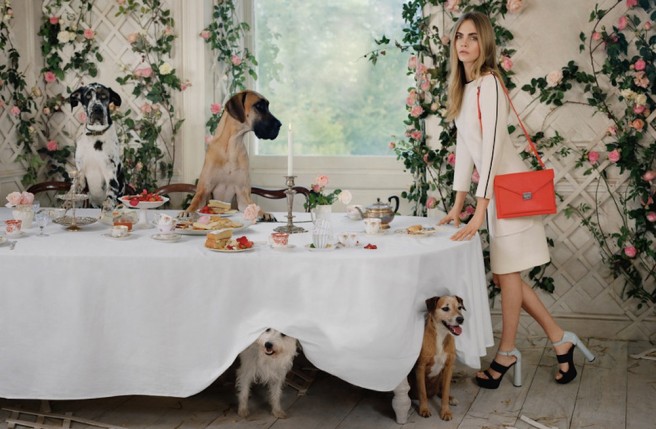 When Brands Go to the Dogs