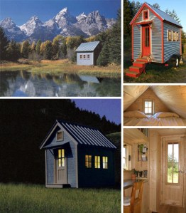 small-forest-cabin-home